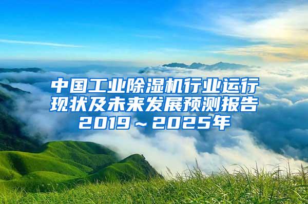 中国工业除湿机行业运行现状及未来发展预测报告2019～2025年