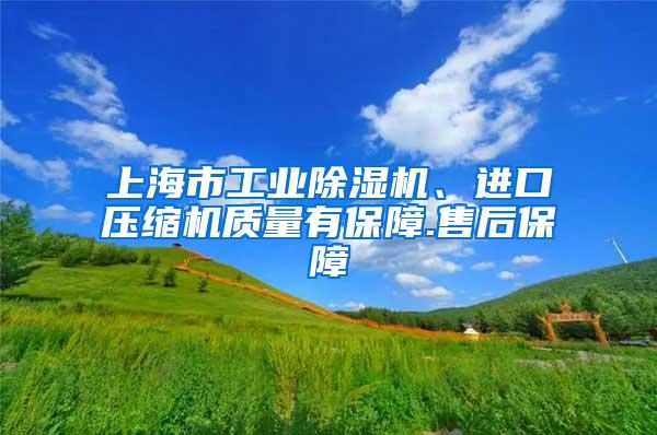上海市工业除湿机、进口压缩机质量有保障.售后保障