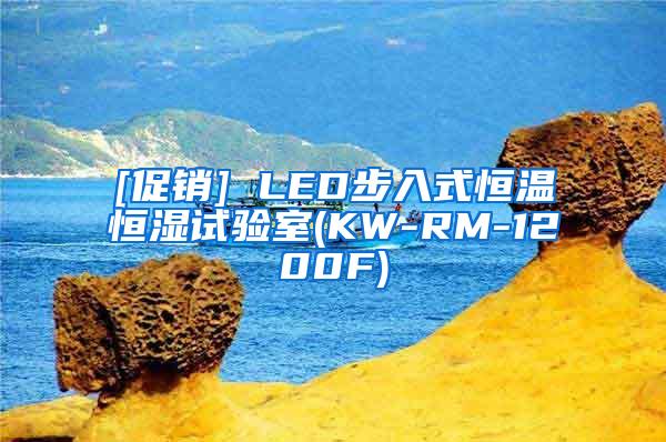 [促销] LED步入式恒温恒湿试验室(KW-RM-1200F)