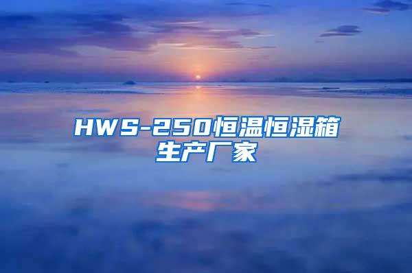 HWS-250恒温恒湿箱生产厂家