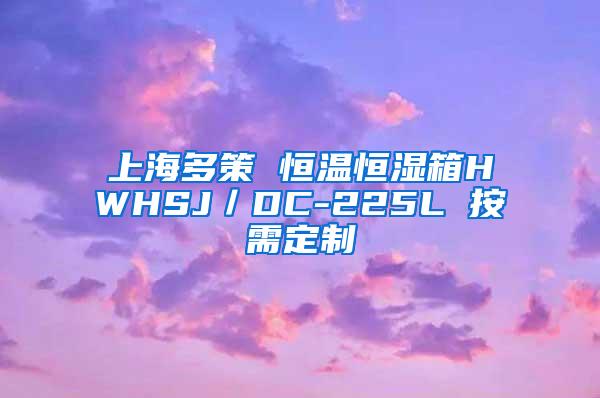 上海多策 恒温恒湿箱HWHSJ／DC-225L 按需定制