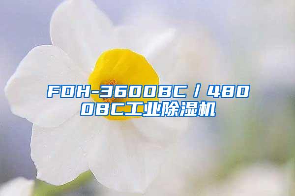 FDH-3600BC／4800BC工业除湿机