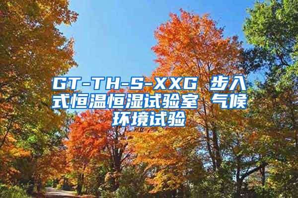 GT-TH-S-XXG 步入式恒温恒湿试验室 气候环境试验