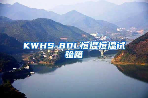 KWHS-80L恒温恒湿试验箱