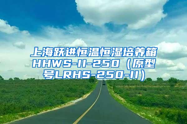 上海跃进恒温恒湿培养箱HHWS-II-250（原型号LRHS-250-II）
