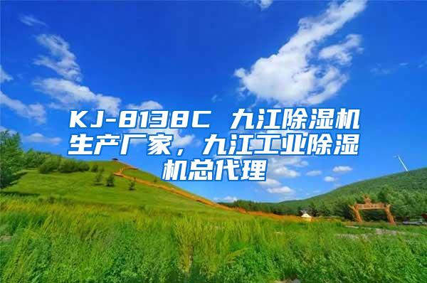 KJ-8138C 九江除湿机生产厂家，九江工业除湿机总代理