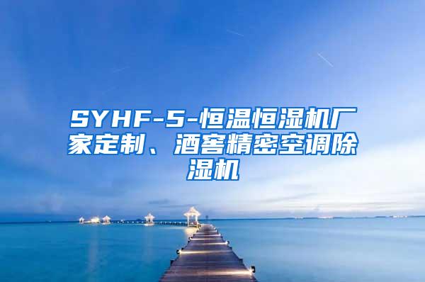 SYHF-5-恒温恒湿机厂家定制、酒窖精密空调除湿机