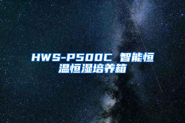 HWS-P500C 智能恒温恒湿培养箱