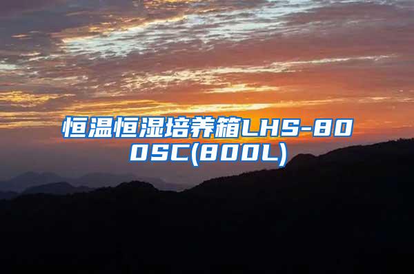 恒温恒湿培养箱LHS-800SC(800L)