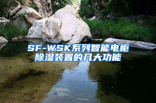 SF-WSK系列智能电柜除湿装置的几大功能