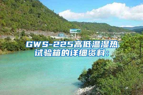 GWS-225高低温湿热试验箱的详细资料：