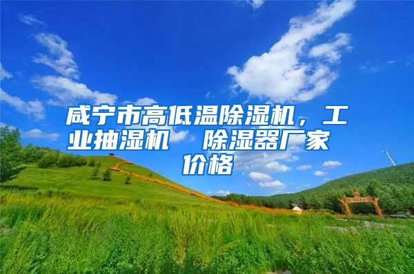 咸宁市高低温除湿机，工业抽湿机  除湿器厂家 价格