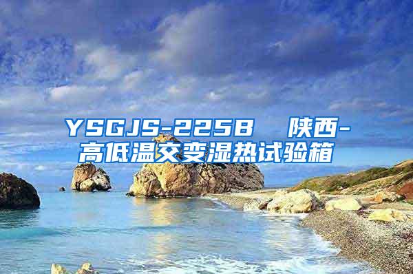 YSGJS-225B  陕西-高低温交变湿热试验箱