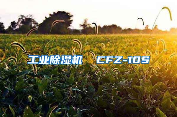 工业除湿机  CFZ-10S