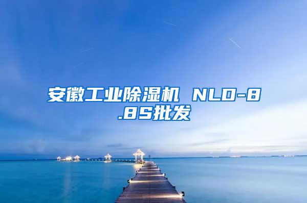 安徽工业除湿机 NLD-8.8S批发