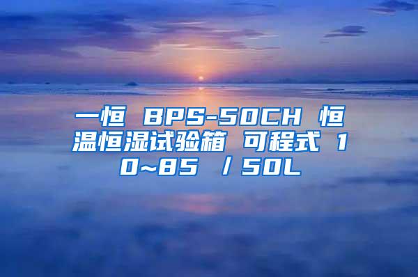 一恒 BPS-50CH 恒温恒湿试验箱 可程式 10~85℃／50L