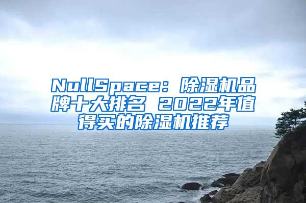 NullSpace：除湿机品牌十大排名 2022年值得买的除湿机推荐