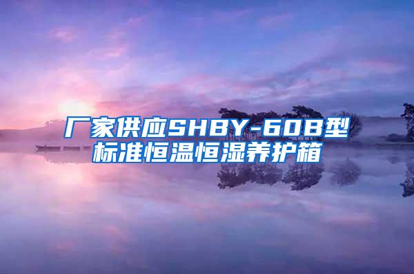 厂家供应SHBY-60B型标准恒温恒湿养护箱