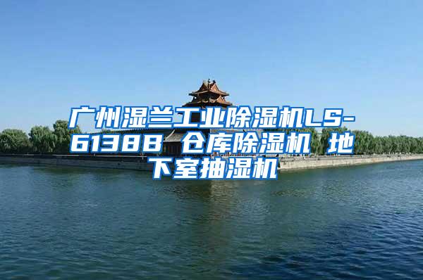 广州湿兰工业除湿机LS-6138B 仓库除湿机 地下室抽湿机