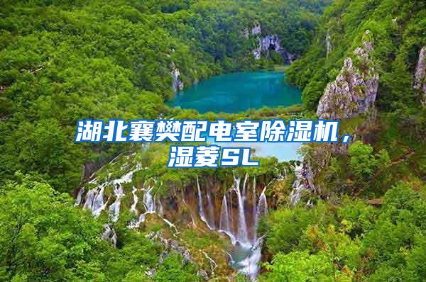 湖北襄樊配电室除湿机，湿菱SL