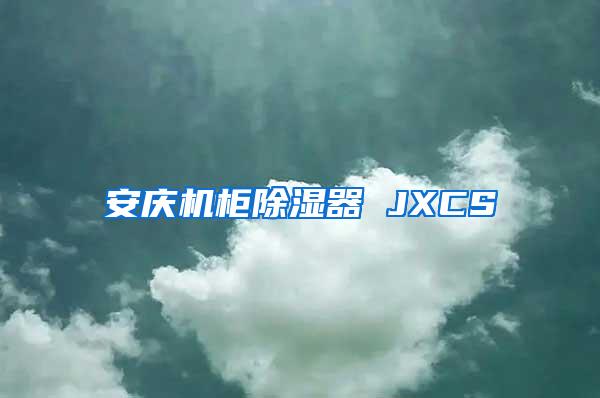 安庆机柜除湿器 JXCS