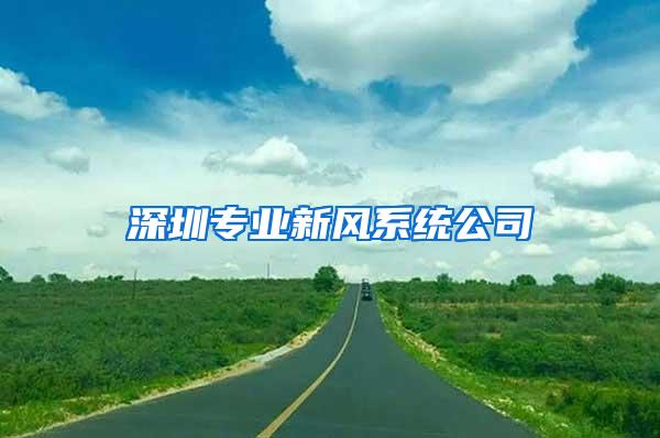 深圳专业新风系统公司