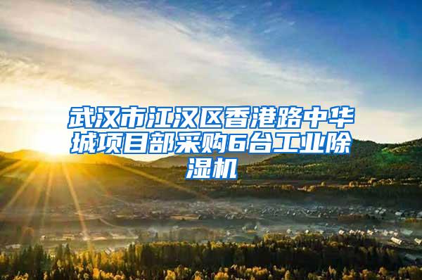 武汉市江汉区香港路中华城项目部采购6台工业除湿机