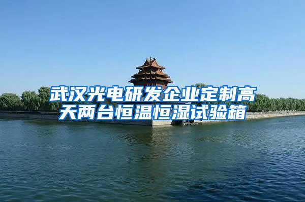 武汉光电研发企业定制高天两台恒温恒湿试验箱