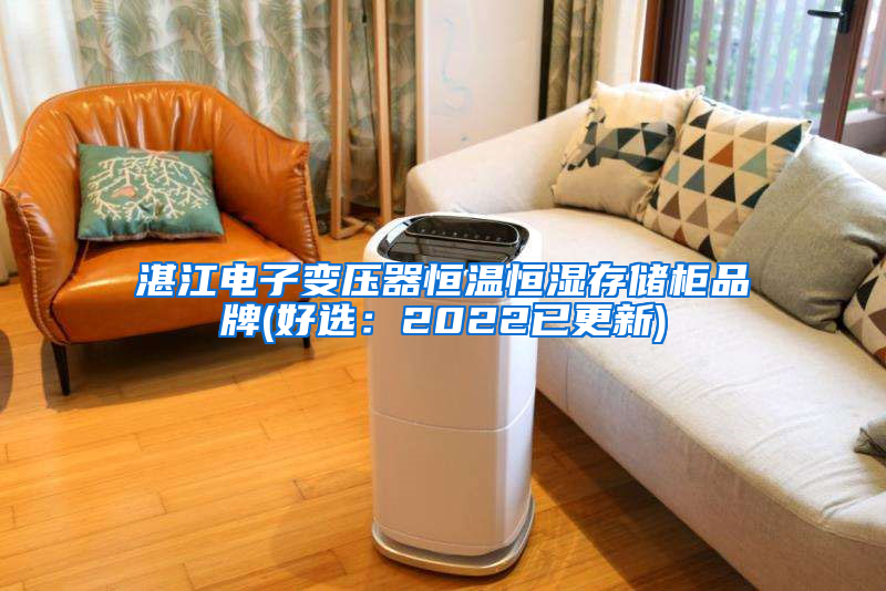 湛江电子变压器恒温恒湿存储柜品牌(好选：2022已更新)