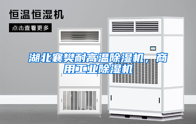 湖北襄樊耐高温除湿机，商用工业除湿机