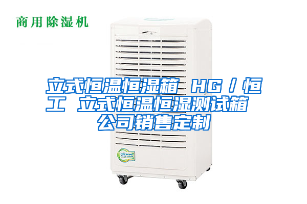 立式恒温恒湿箱 HG／恒工 立式恒温恒湿测试箱 公司销售定制