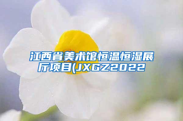 江西省美术馆恒温恒湿展厅项目(JXGZ2022