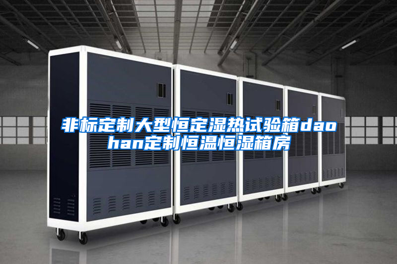 非标定制大型恒定湿热试验箱daohan定制恒温恒湿箱房