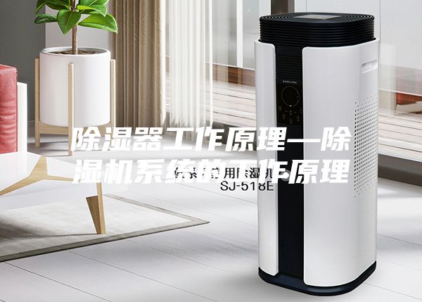 除湿器工作原理—除湿机系统的工作原理