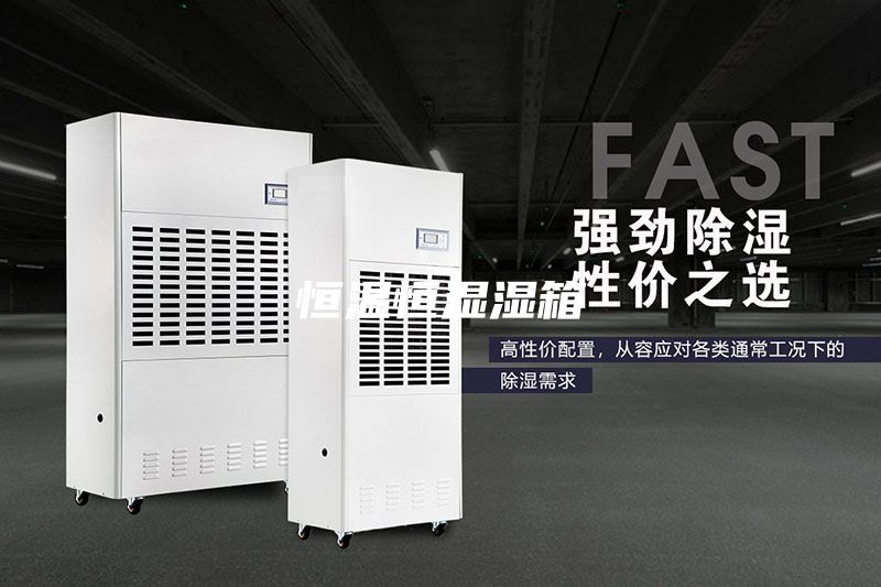 恒温恒湿湿箱