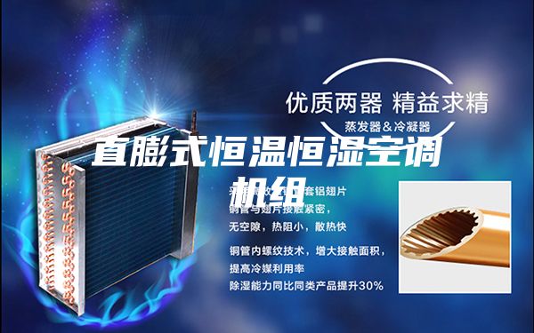 直膨式恒温恒湿空调机组