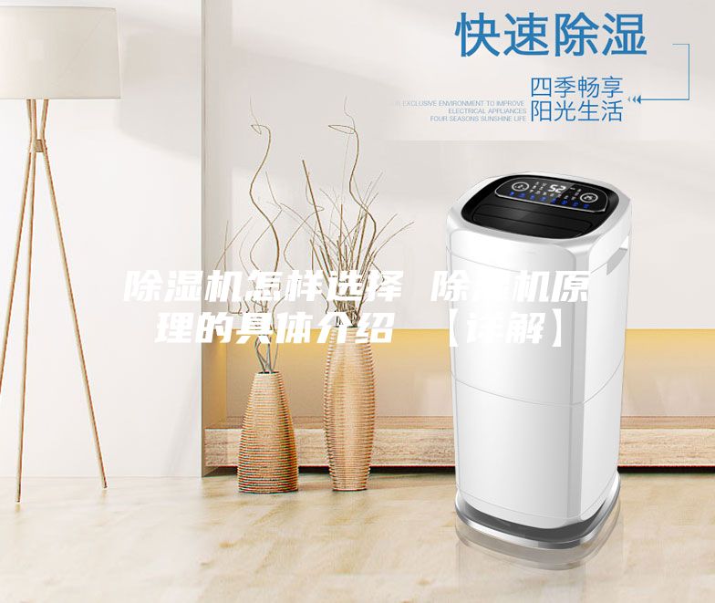除湿机怎样选择 除湿机原理的具体介绍 【详解】