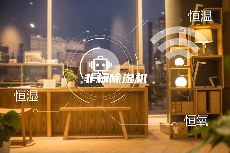 非标除湿机