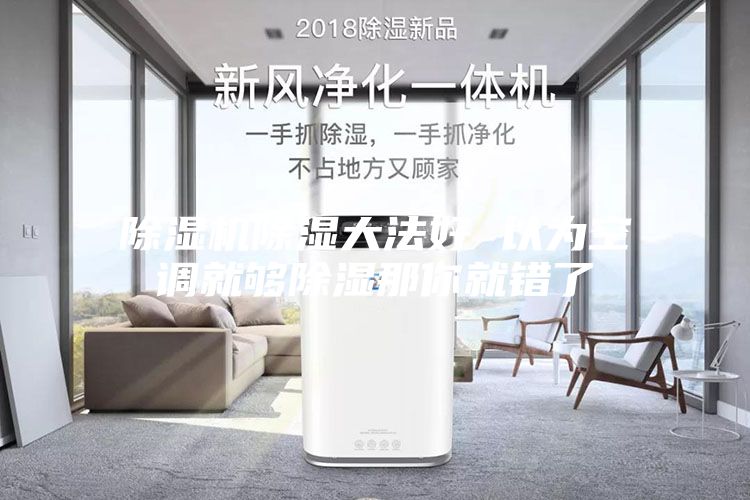 除湿机除湿大法好 以为空调就够除湿那你就错了