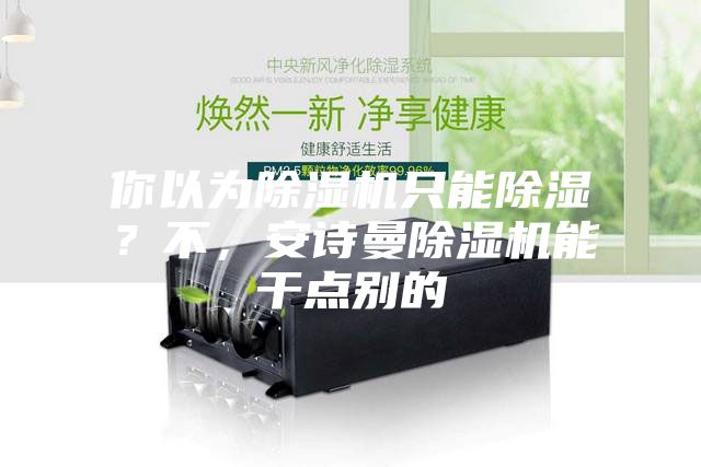 你以为除湿机只能除湿？不，安诗曼除湿机能干点别的