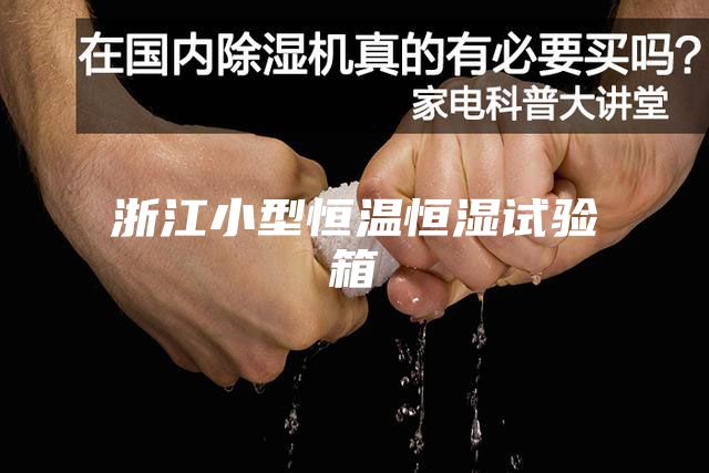 浙江小型恒温恒湿试验箱