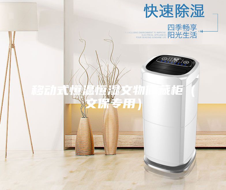 移动式恒温恒湿文物储藏柜（文保专用）