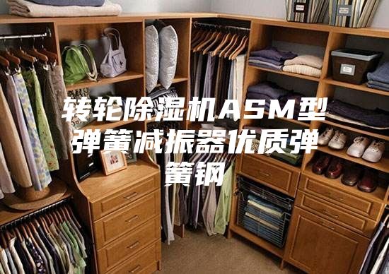 转轮除湿机ASM型弹簧减振器优质弹簧钢
