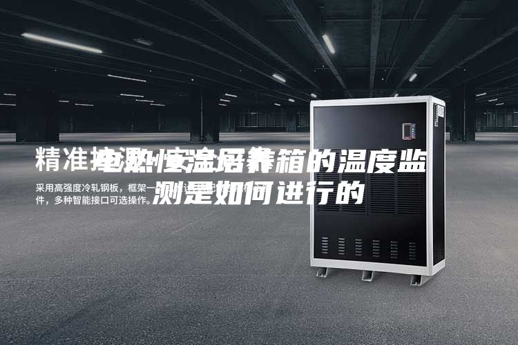 电热恒温培养箱的温度监测是如何进行的