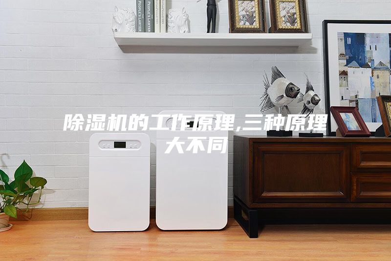 除湿机的工作原理,三种原理大不同