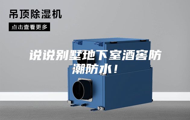 说说别墅地下室酒窖防潮防水！