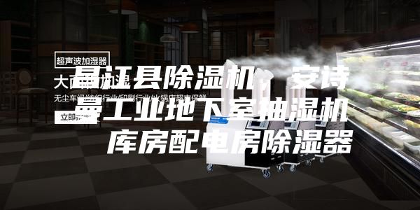 昌江县除湿机，安诗曼工业地下室抽湿机  库房配电房除湿器