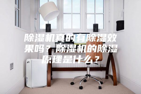 除湿机真的有除湿效果吗？除湿机的除湿原理是什么？