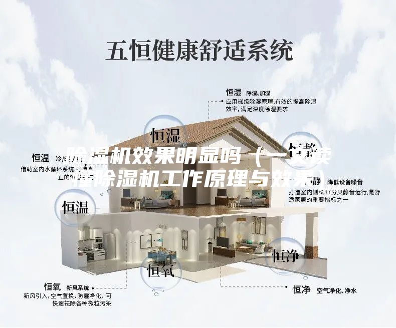 除湿机效果明显吗（一文读懂除湿机工作原理与效果）