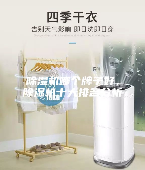 除湿机哪个牌子好，除湿机十大排名分析